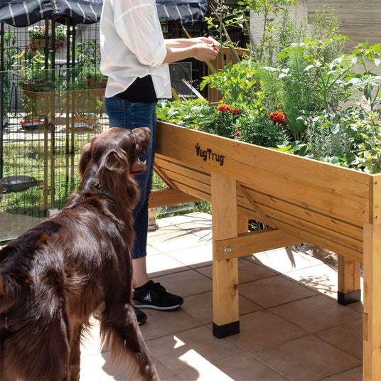 Voll bepflanztes 1,8 m VegTrug Hochbeet mit einer großen Auswahl an Gemüse und Kräutern auf der Terrasse