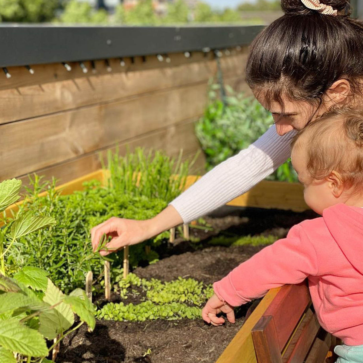 Rückenschonendes Gärtnern in komfortabler Stehhöhe an der 1,80 Meter breiten Arbeitsfläche des VegTrug Klassik