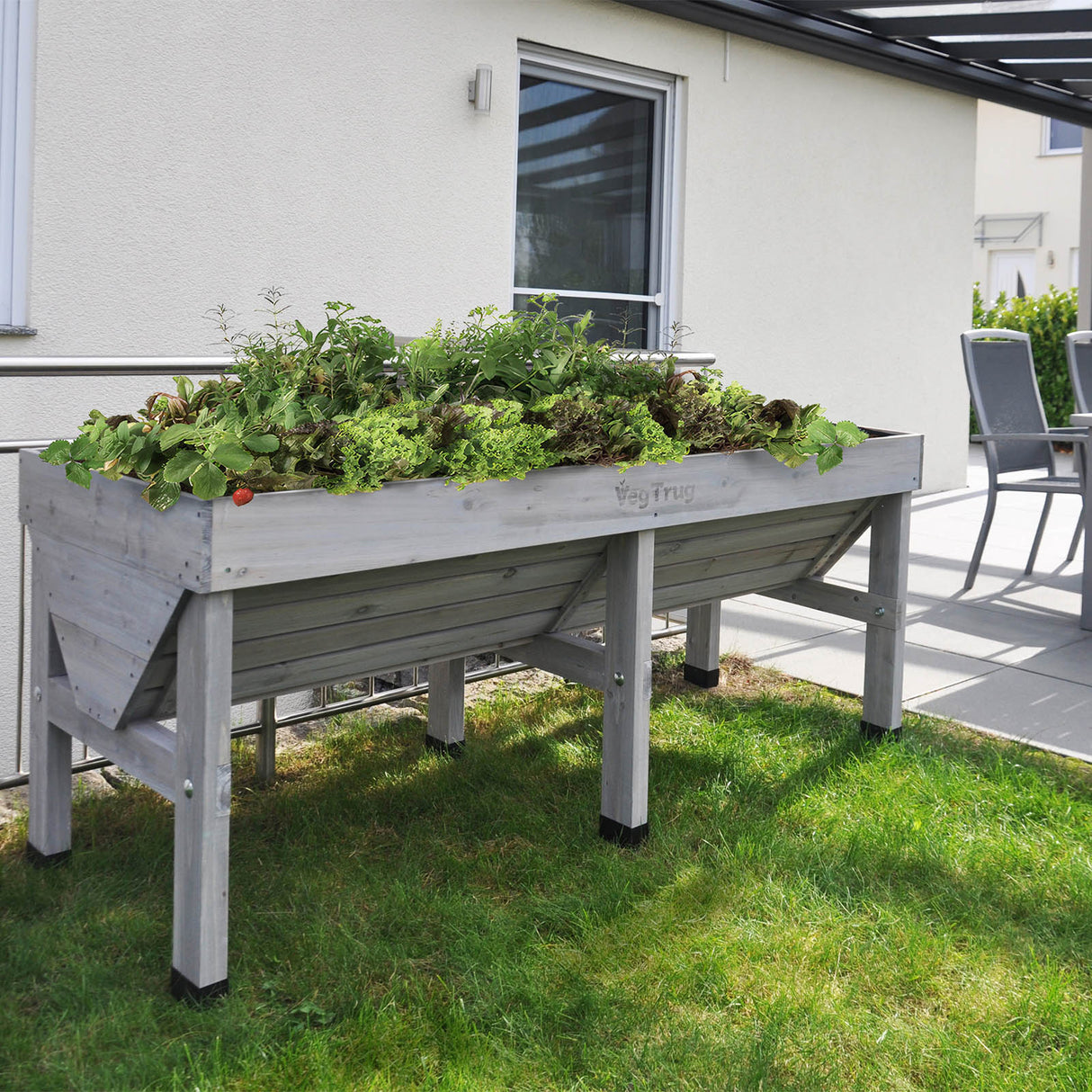Voll bepflanztes 1,8 m VegTrug Hochbeet mit einer großen Auswahl an Gemüse und Kräutern auf der Terrasse