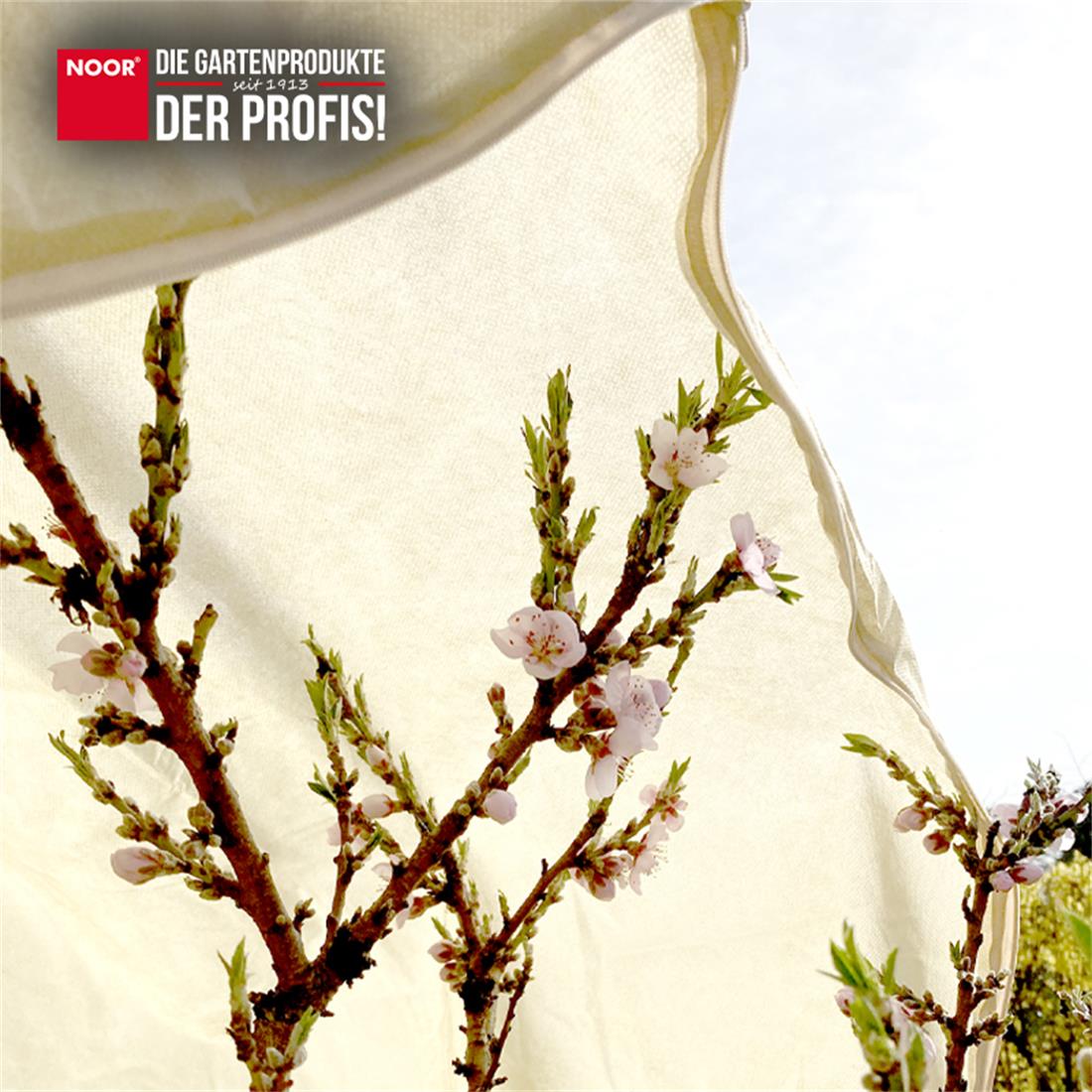 Winterschutzhaube PRO im Einsatz bei einer Palme zum Schutz vor eisigen Temperaturen und Schneelast