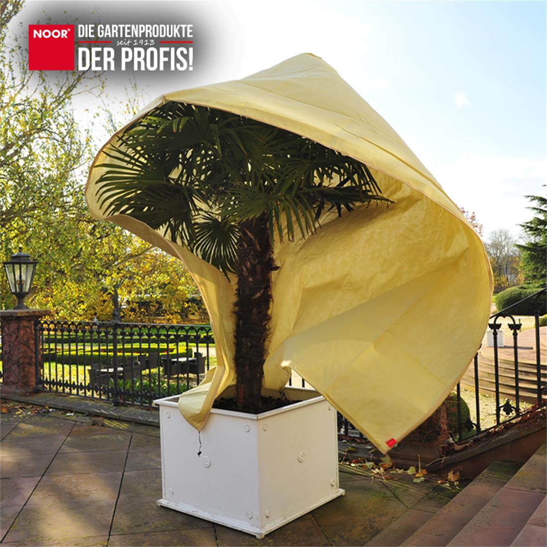 Über eine Kübelpflanze gezogene Vlieshaube zum Schutz vor Kälte, Wind und Spannungsrissen