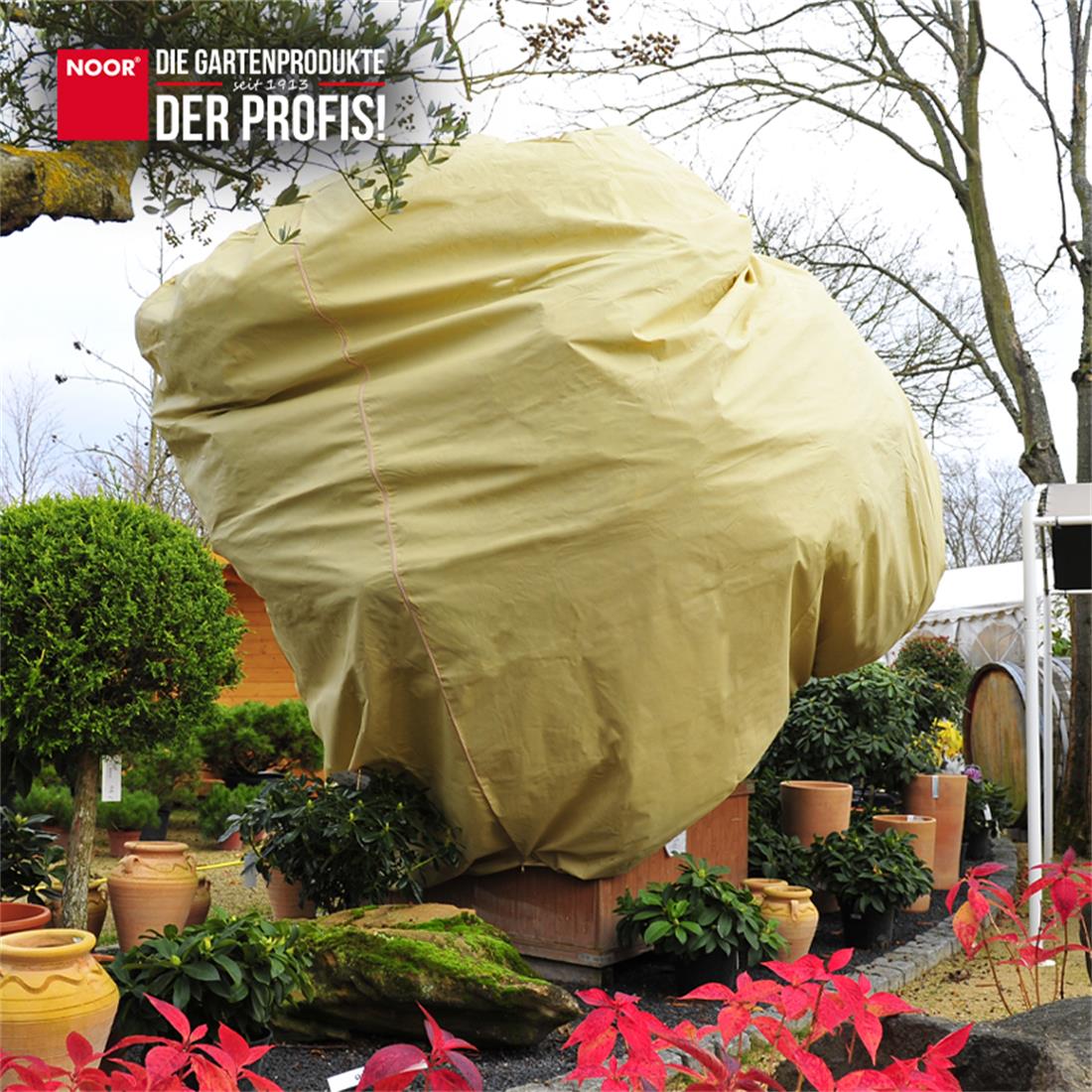 Winterschutzhaube PRO im Einsatz bei einer Palme zum Schutz vor eisigen Temperaturen und Schneelast