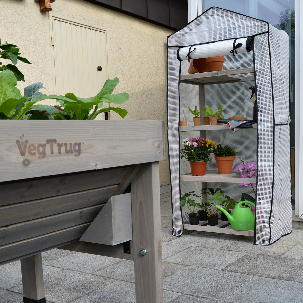 VegTrug Gewächshaus im Einsatz zur Anzucht von Jungpflanzen und Kräutern auf begrenztem Raum
