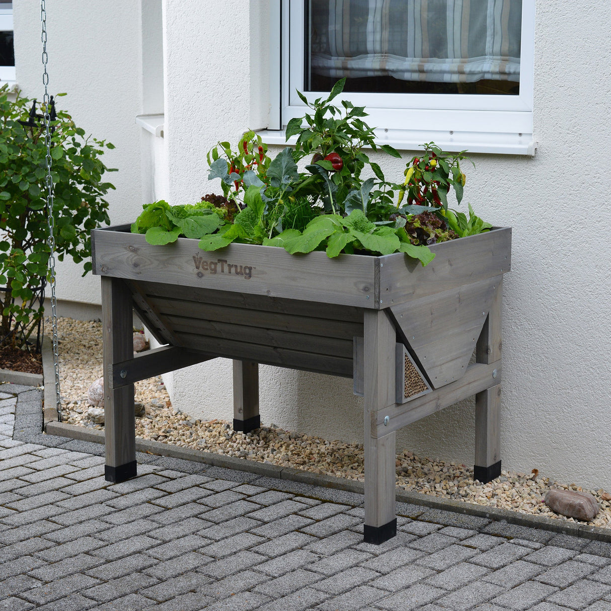 Kompaktes 1-Meter-VegTrug Hochbeet auf einer Stadtterrasse mit frischem Salat und Küchenkräutern