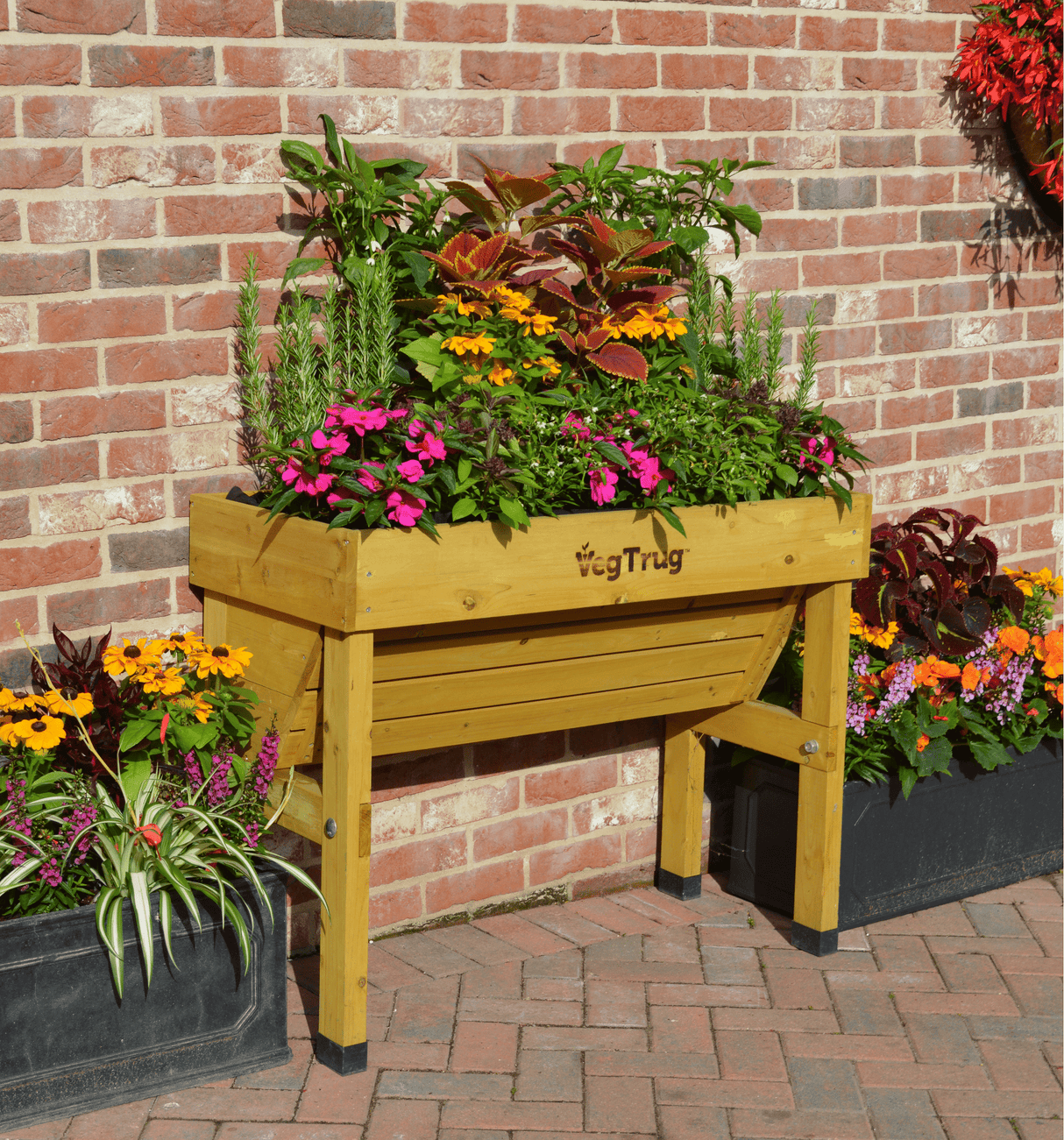 Dekorative Kräuterinsel: Der 1 m WallHugger als platzsparende Lösung an Hauswand gelehnt