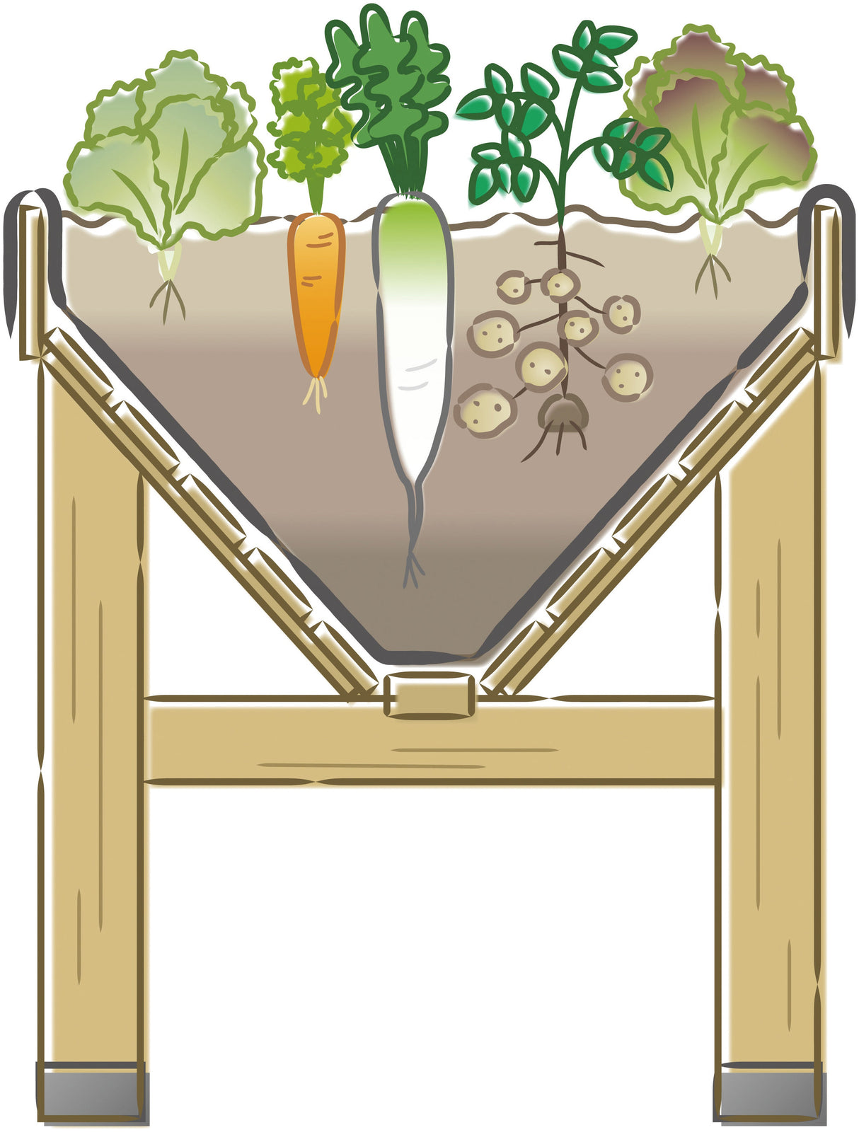 Querschnitt der V-Form des VegTrug Klassik: Viel Platz für Tiefwurzler in der Mitte und Flachwurzler am Rand
