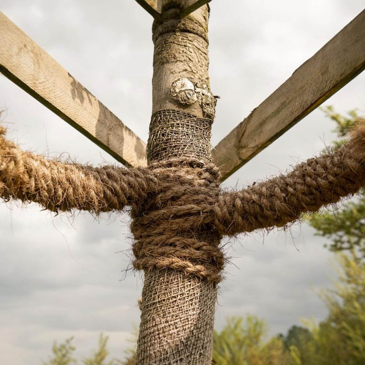 Rolle aus braunem, naturbelassenem Kokosstrick von NOOR zur rindenfreundlichen Befestigung von Bäumen und Gehölzen.