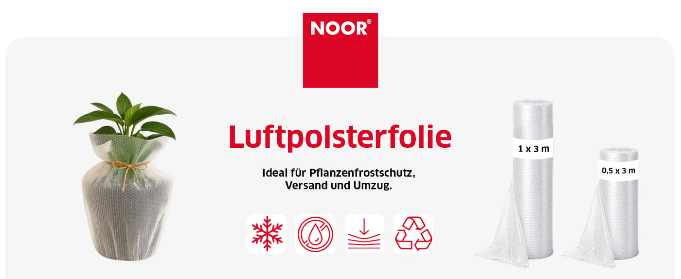 Transparente, isolierende Luftpolsterfolie für den Frostschutz von Pflanzen und Kübeln im Winter