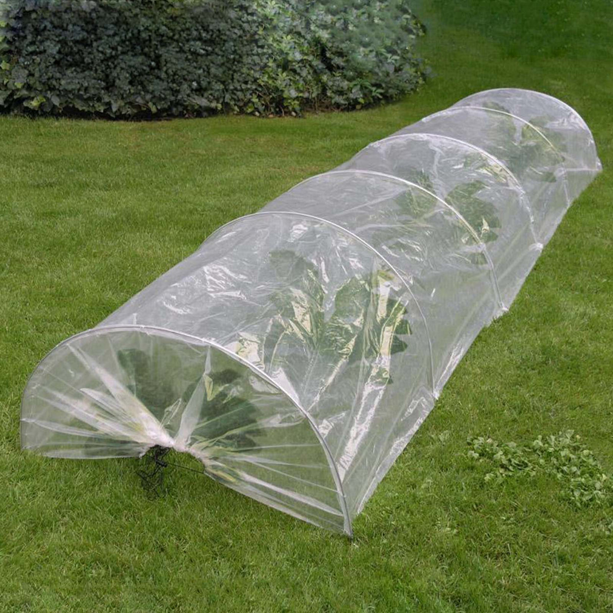 Transparenter XXL Pflanztunnel von NOOR mit verzinkten Metallbögen und Zugkordel zur Anzucht von Salat und Gemüse im Garten.