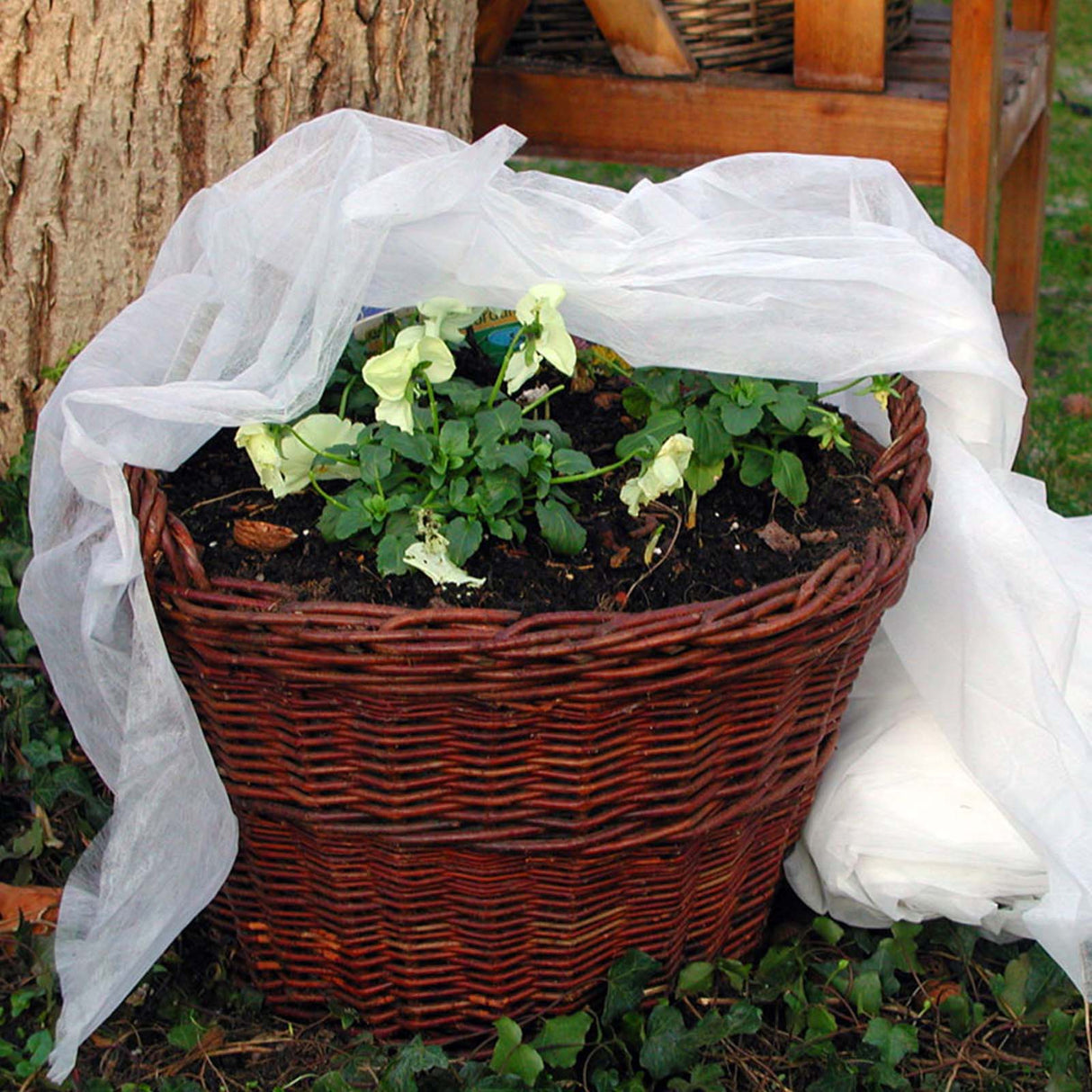 Weißes NOOR Schutzvlies aus Polypropylen, ausgebreitet über Pflanzen zum Schutz vor Frost und Insekten.