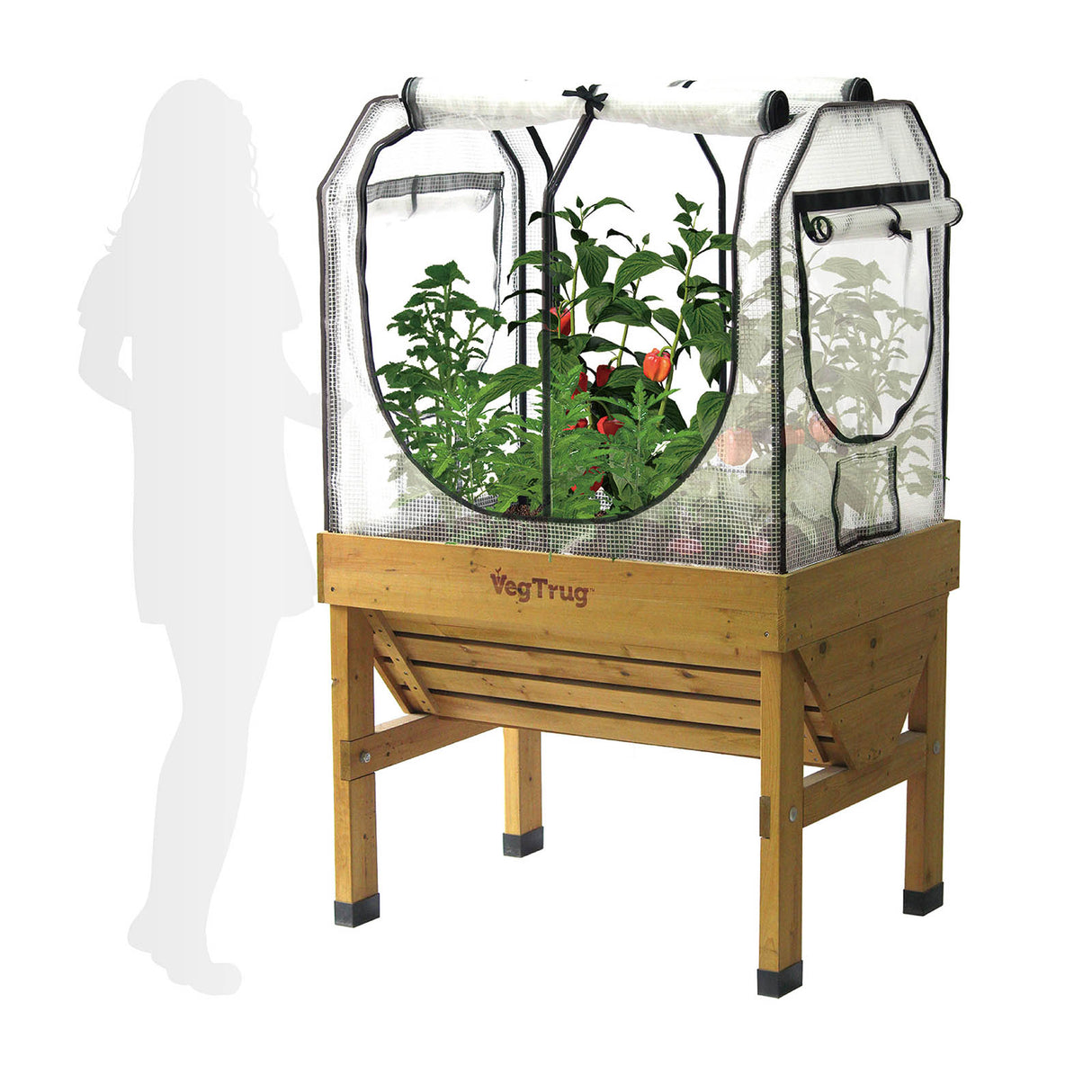 VegTrug Hochbeet mit montiertem Gewächshaus-Cover zur Schaffung eines Mikroklimas für Tomaten und Salate