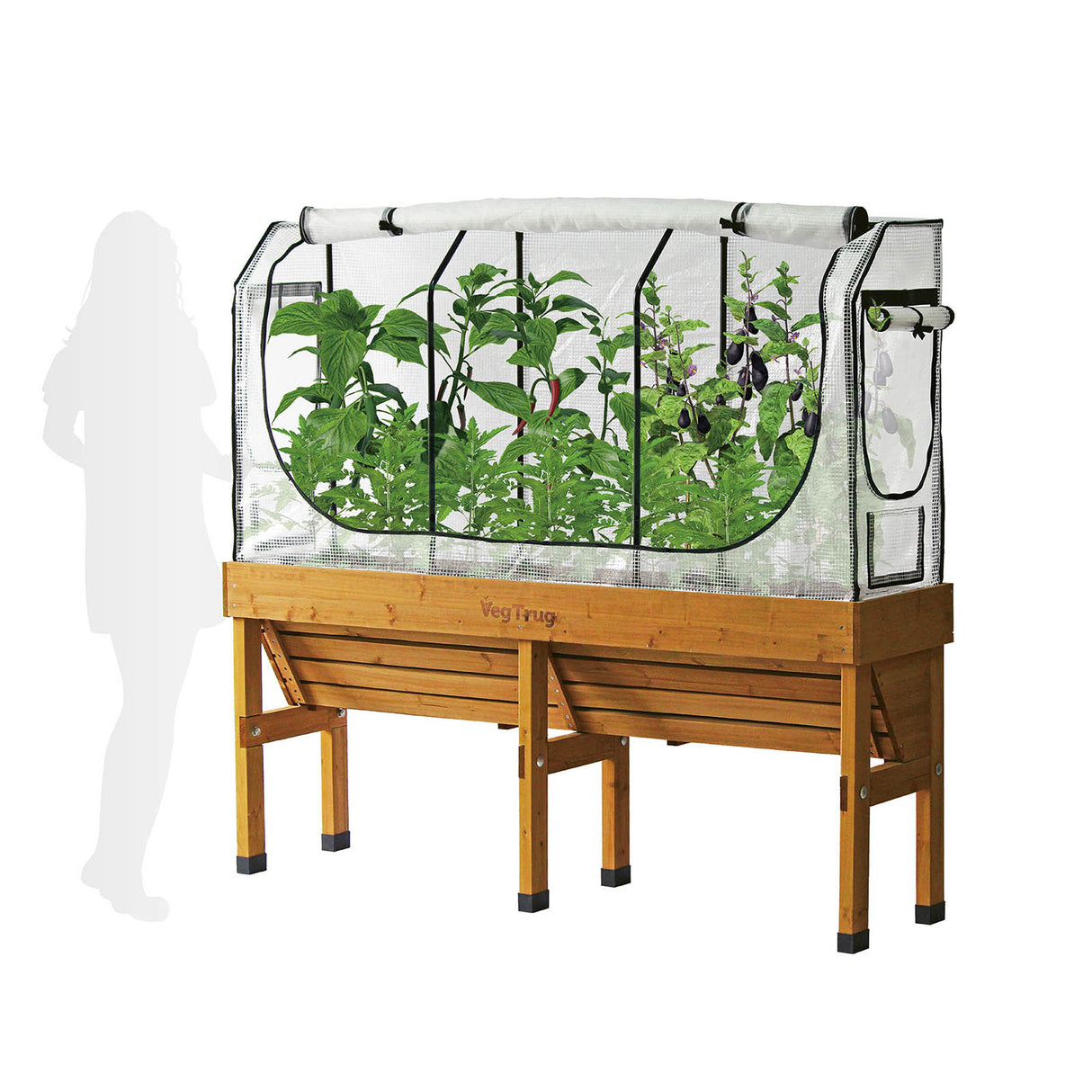 VegTrug Hochbeet mit montiertem Gewächshaus-Cover zur Schaffung eines Mikroklimas für Tomaten und Salate