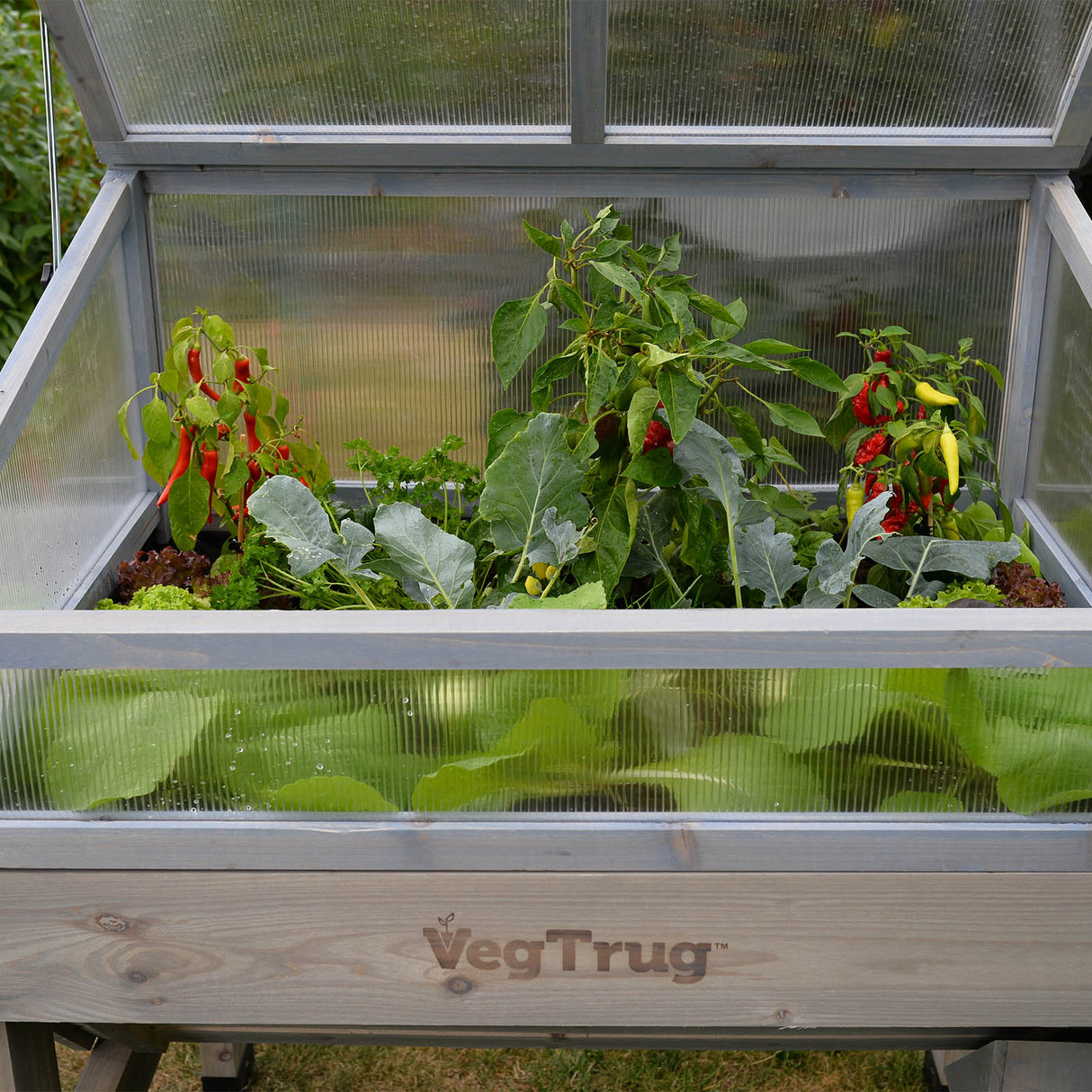 Frühbeet-Abdeckung für das VegTrug Hochbeet zum Schutz junger Setzlinge vor Frost, Starkregen und Schädlingen