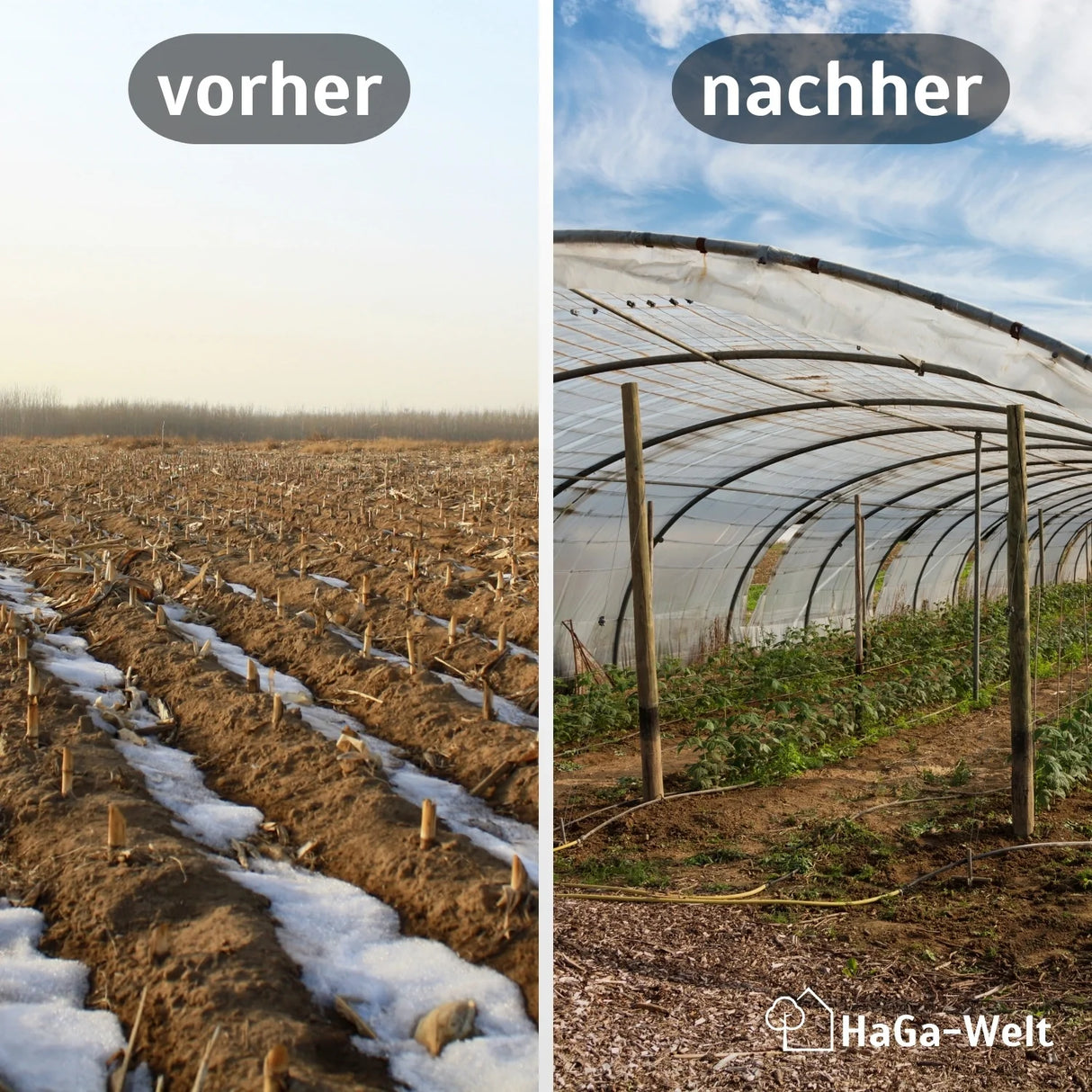 Gitterfolie Vergleich Vorher Nachher HaGa bei NOOR