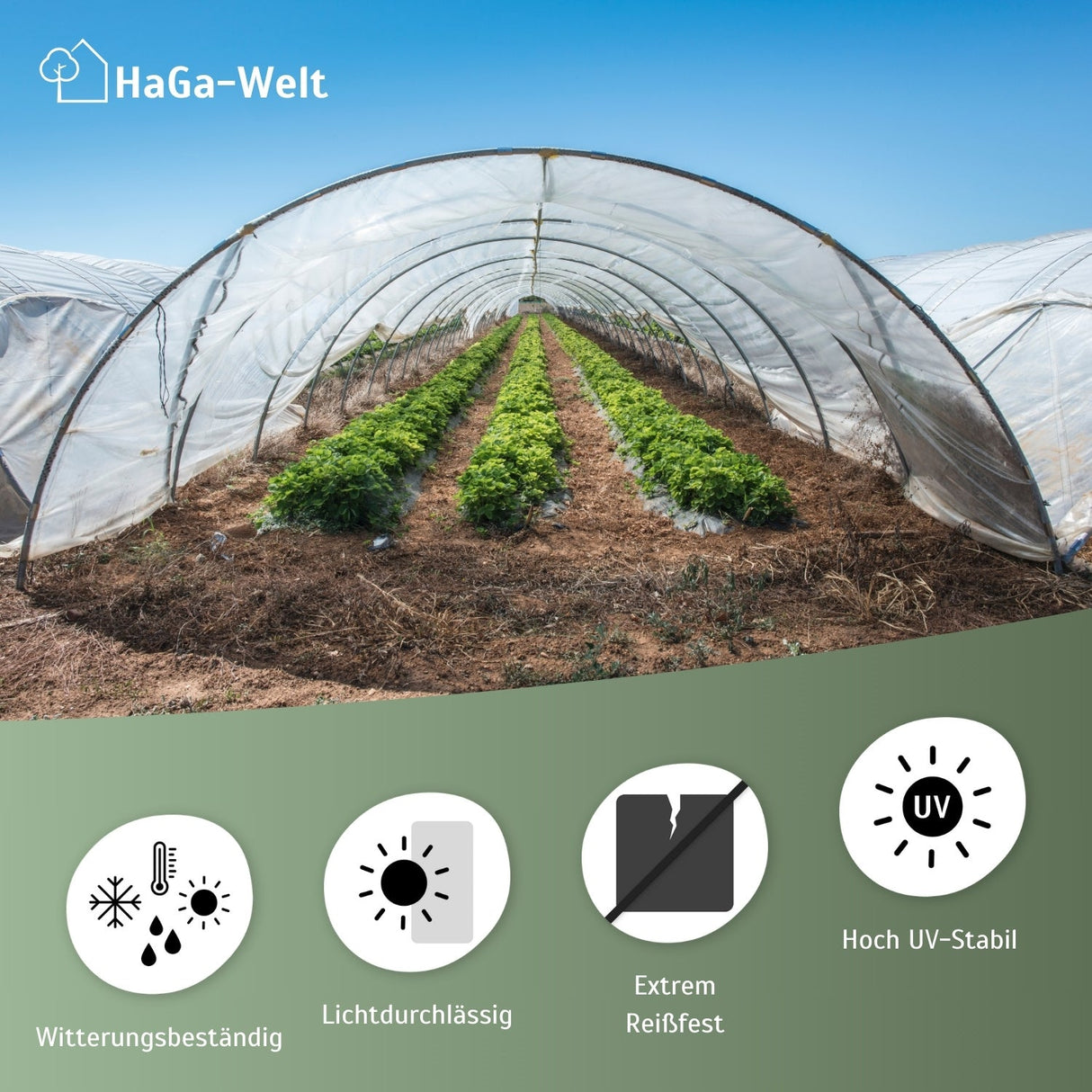 UV2 Gewächshausfolie – geeignet für Folientunnel und Gewächshäuser