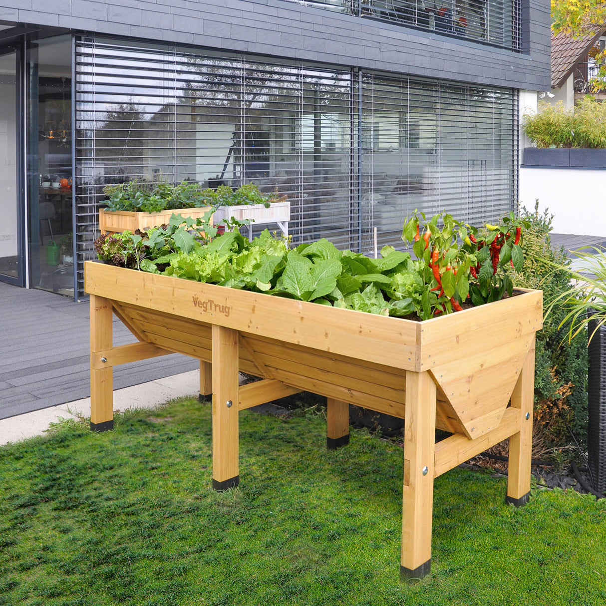 Voll bepflanztes 1,8 m VegTrug Hochbeet mit einer großen Auswahl an Gemüse und Kräutern auf der Terrasse