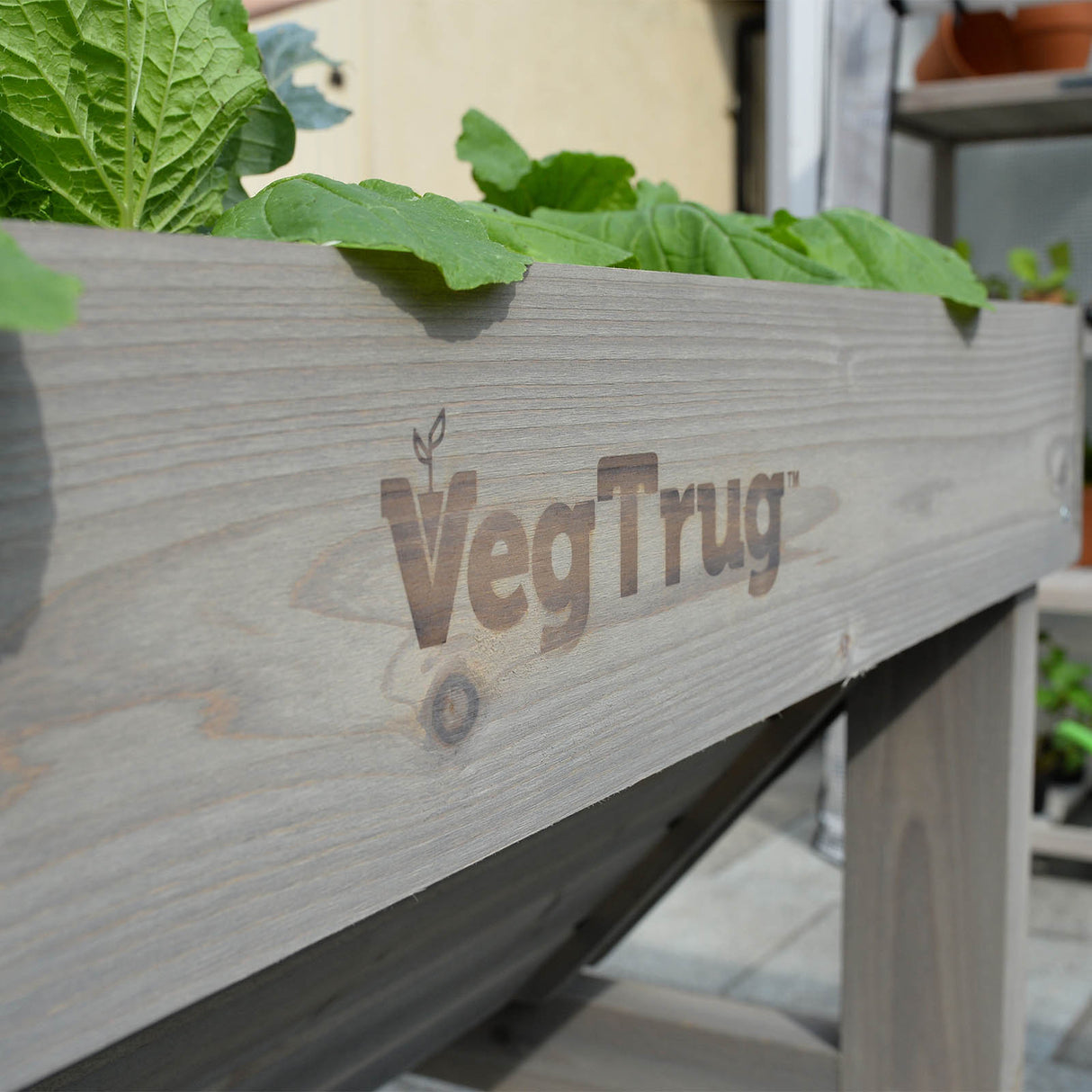 Wetterfest lasiertes Zedernholz in robuster Verarbeitung für eine langlebige Nutzung des großen Hochbeets