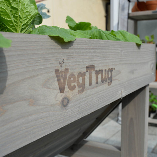 Wetterfest lasiertes Zedernholz in robuster Verarbeitung für eine langlebige Nutzung des großen Hochbeets