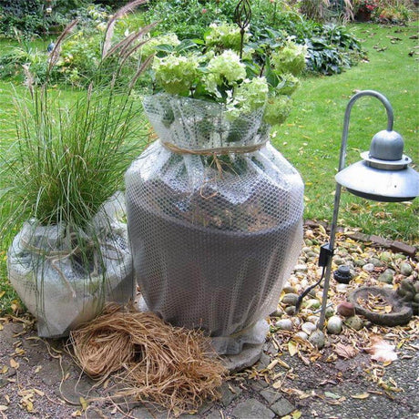 Mit Luftpolsterfolie umwickelter Pflanztopf zum Schutz der Wurzeln vor Frost und Kälte