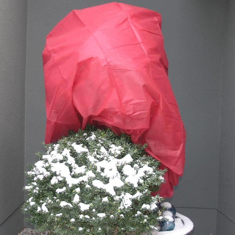 Mit buntem Winterschutzvlies eingepackte Sträucher als optischer Akzent im winterlichen Garten