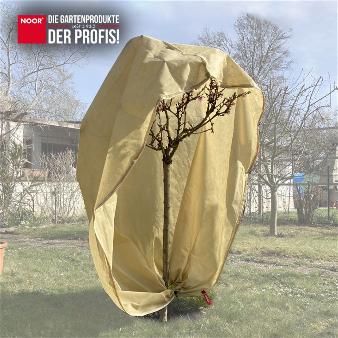 Winterschutzhaube PRO im Einsatz bei einer Palme zum Schutz vor eisigen Temperaturen und Schneelast