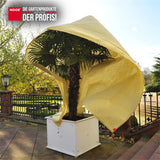 Über eine Kübelpflanze gezogene Vlieshaube zum Schutz vor Kälte, Wind und Spannungsrissen