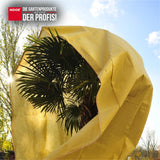 Winterschutzhaube PRO im Einsatz bei einer Palme zum Schutz vor eisigen Temperaturen und Schneelast
