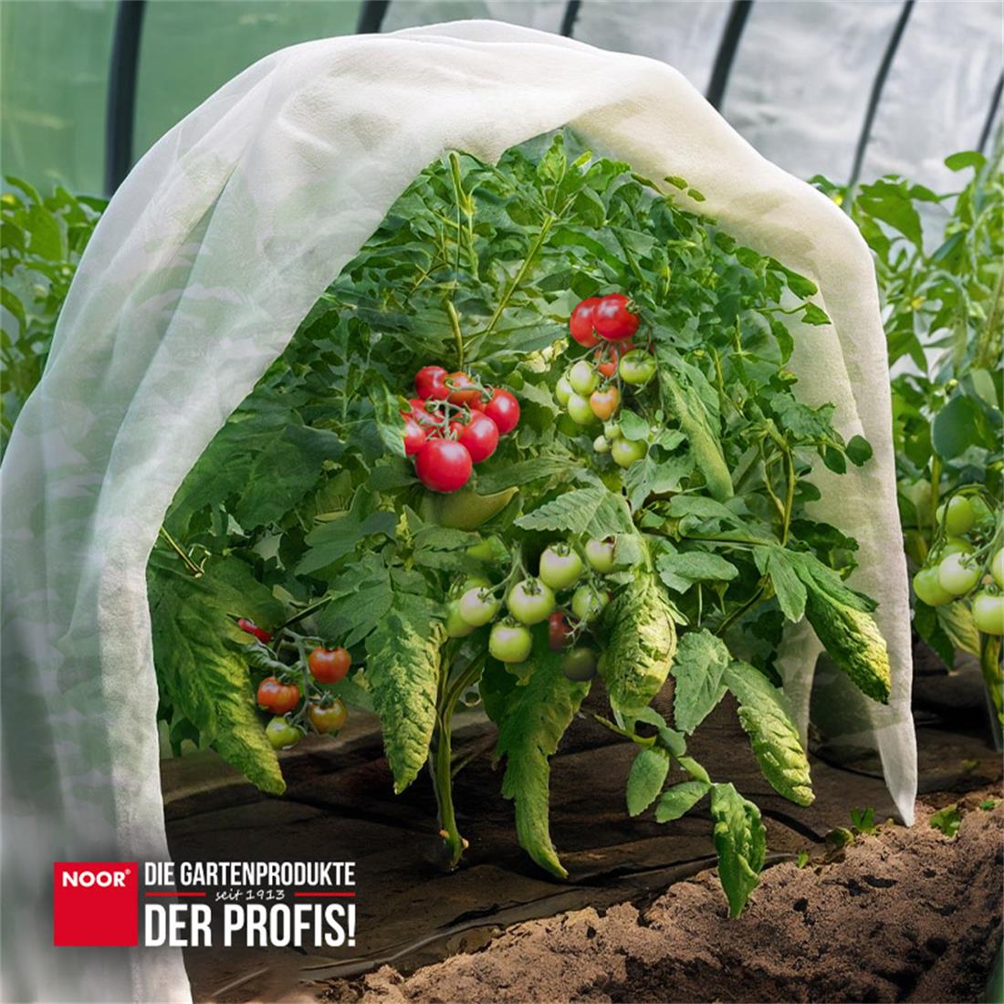 Weißes Tomatenvlies 17g pro Quadratmeter zum Schutz von Jungpflanzen im Garten