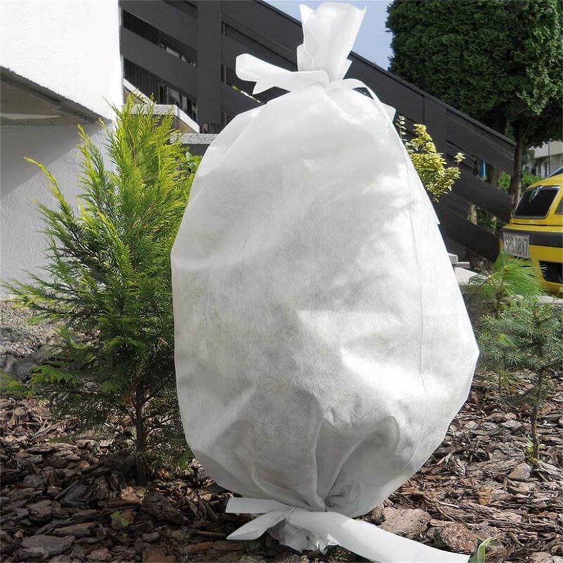 Winterschutz-Schlauch über eine hohe Säulenpflanze gestülpt zum Schutz vor Frost, Schnee und Wind