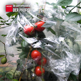 Transparente Tomatenhaube aus 100 Prozent PE Folie zur Reifebeschleunigung von Tomatenpflanzen