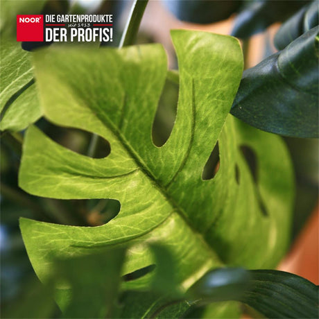 Kunstpflanze MONSTERA Nahaufnahme NOOR