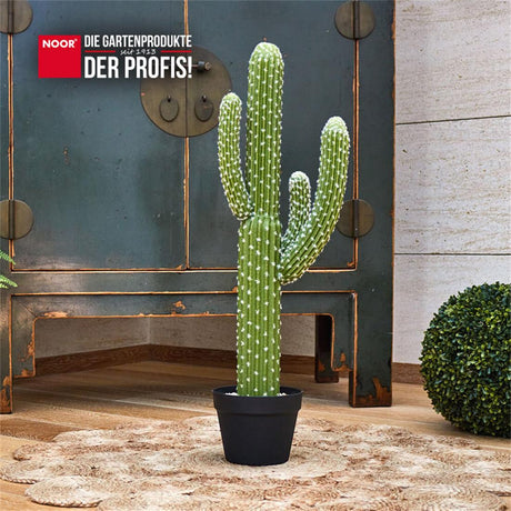 Kunstpflanze SAGUARO CACTUS Anwendung NOOR