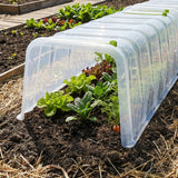 Pflanztunnel Modulo - Schützt und beschleunigt Wachstum