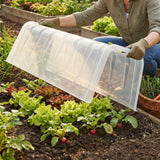 Pflanztunnel Modulo - Schützt und beschleunigt Wachstum