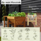 VegTrug® Klassik - 1 m  - Klassisches Hochbeet aus Zedernholz