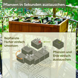 VegTrug® Kräuterhochbeet - Kräuteranbau inklusive Kräuterteiler