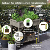 VegTrug® Kräuterhochbeet - Kräuteranbau inklusive Kräuterteiler