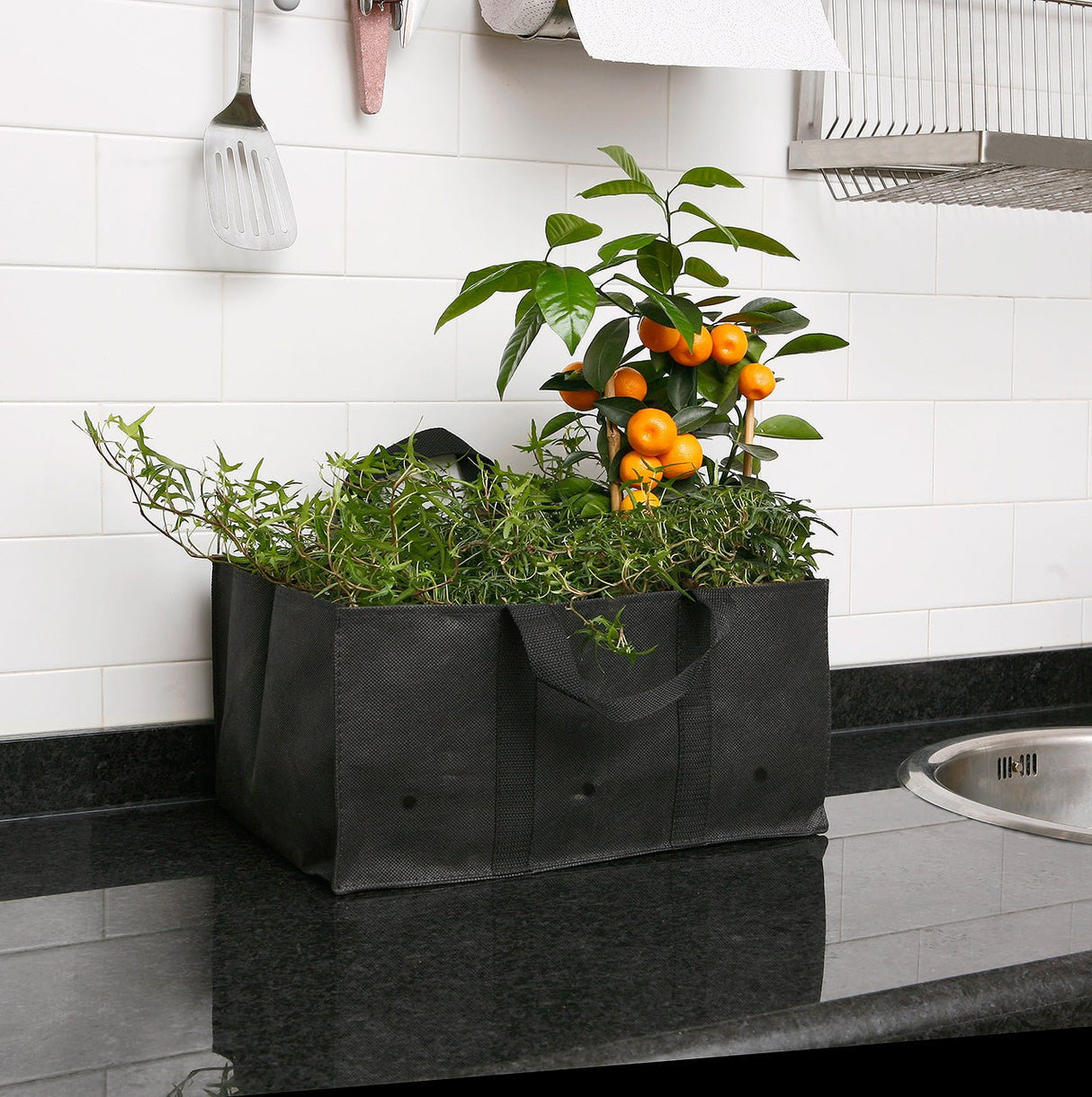 Hochbeet aus Weide - Inklusive Pflanztasche