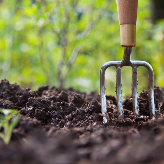 Kleine Gartenkralle steckt in lockerer, dunkler Pflanzerde – bereit für die Gartenarbeit im Frühjahr.