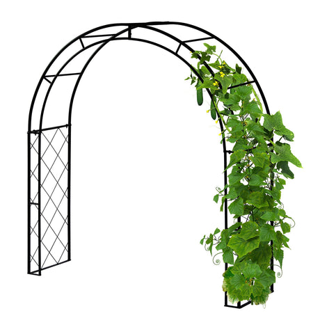 Eleganter VegTrug Kletterbogen aus pulverbeschichtetem Stahl als stabile Rankhilfe für den Garten