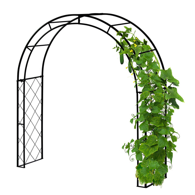 Eleganter VegTrug Kletterbogen aus pulverbeschichtetem Stahl als stabile Rankhilfe für den Garten