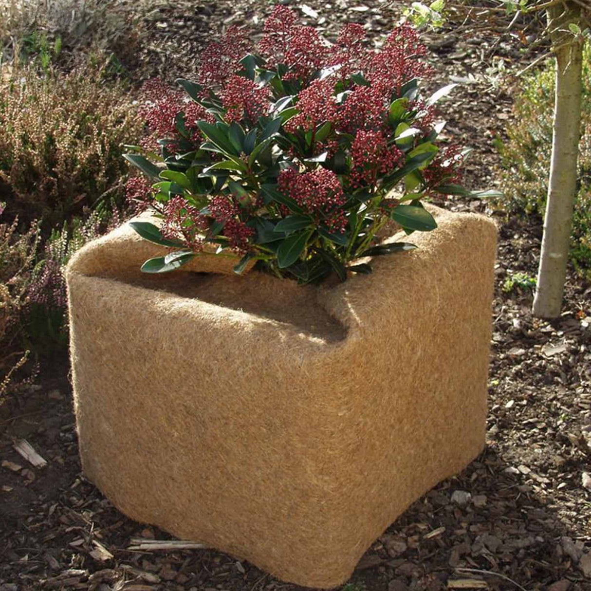 Rolle einer braunen Kokosmatte von NOOR zur Isolierung und zum Schutz von Pflanzen im Winter.