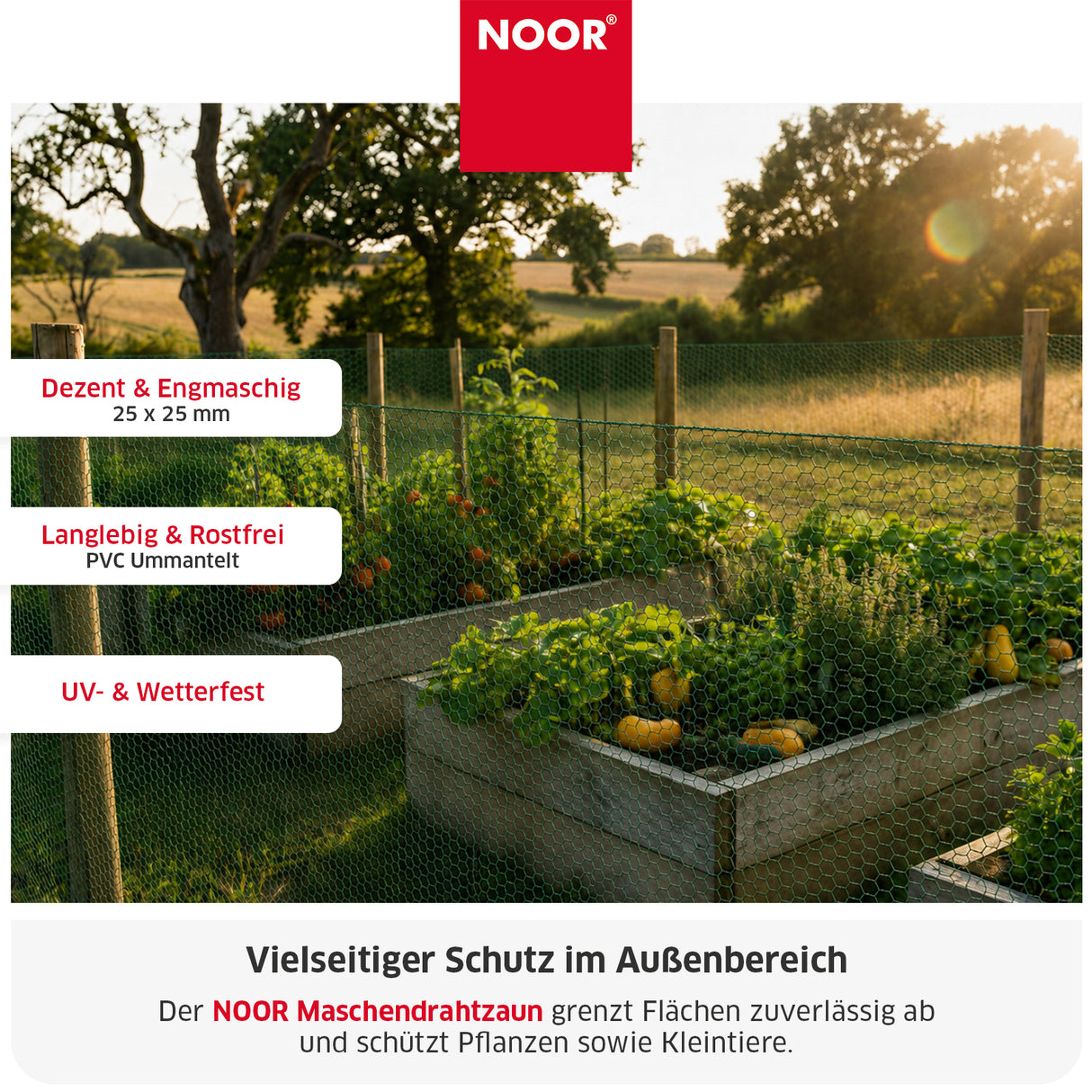 Maschendraht 25 mm PVC ummantelt Infos NOOR