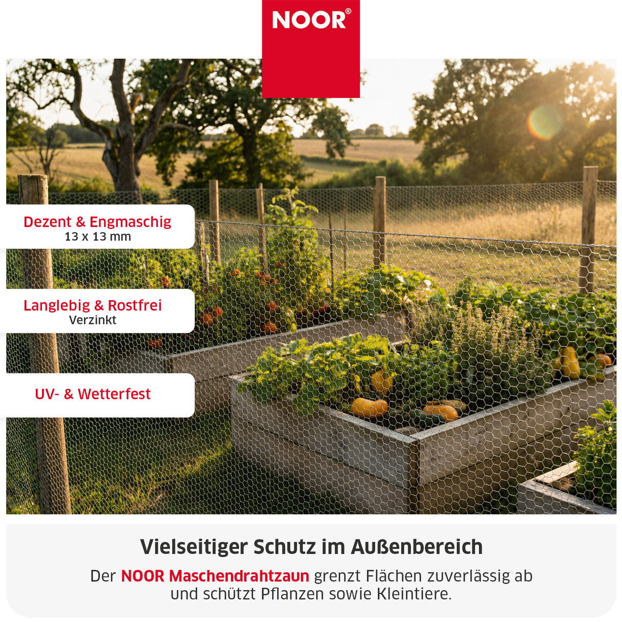 Maschendrahtzaun 13 mm Verzinkt Infos NOOR