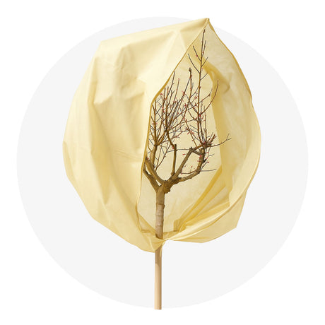 Premium Winterschutz-Haube über eine Pflanze gestülpt