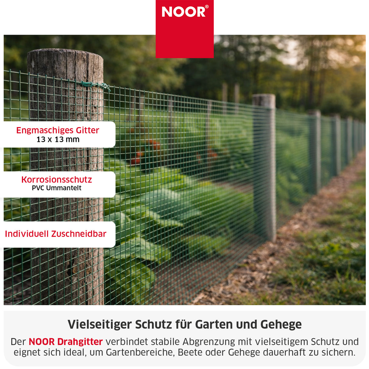 Drahtgitter 13 mm Grün Infos NOOR