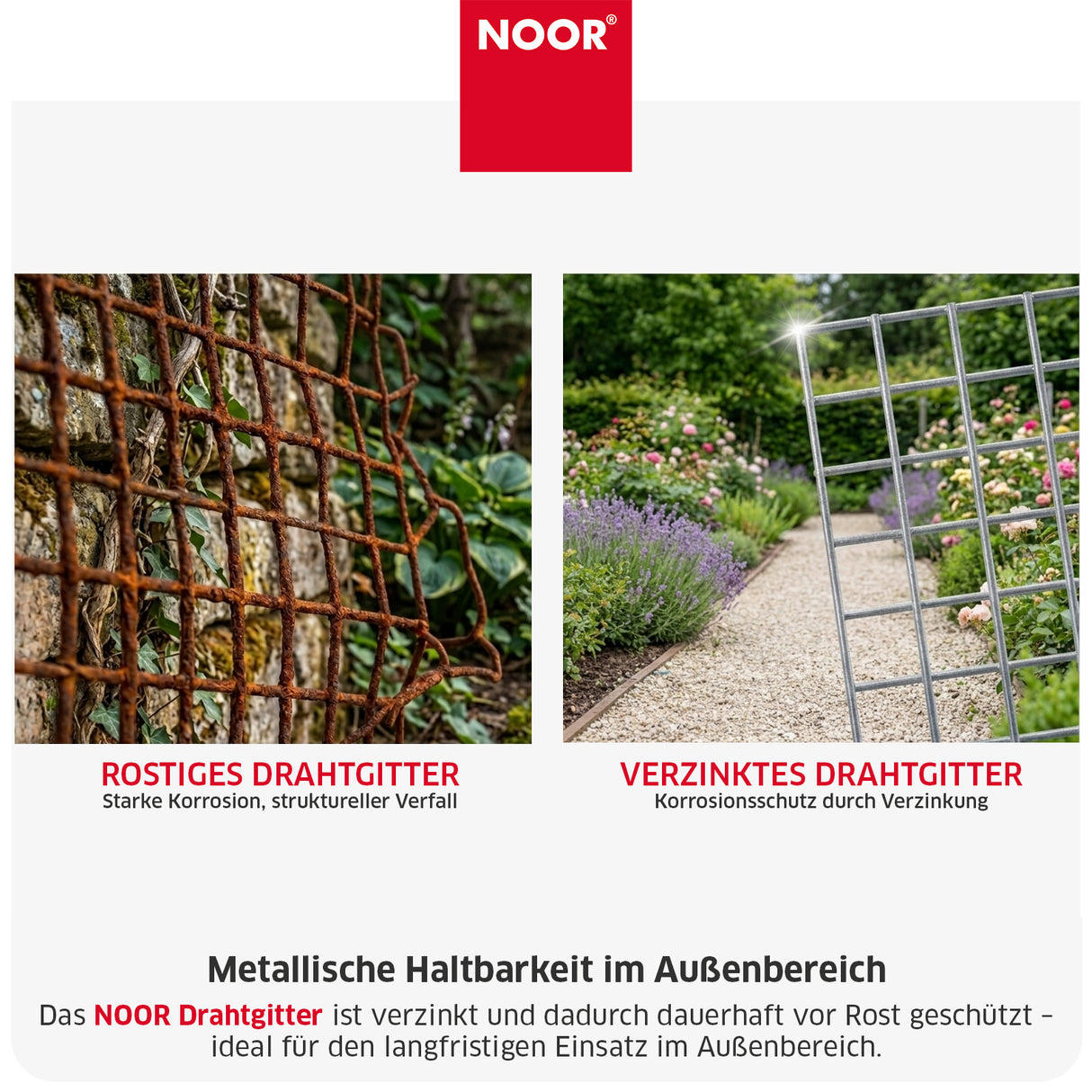 Drahtgitter 13 mm Verzinkt Vergleich NOOR