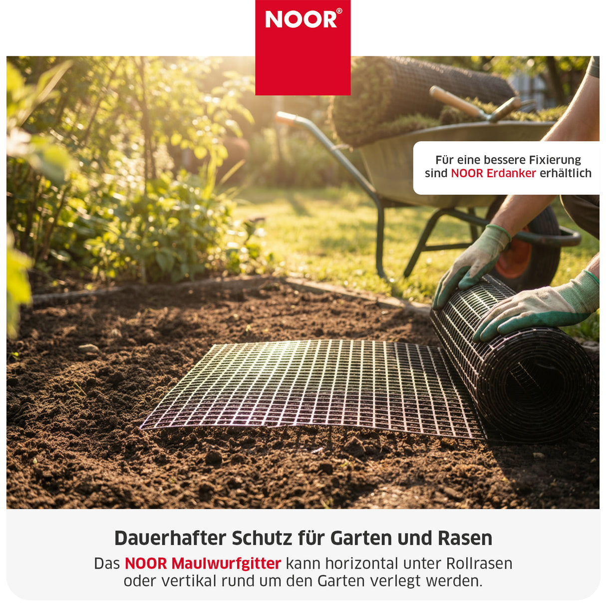 Maulwurfgitter Mesh Verlegung NOOR