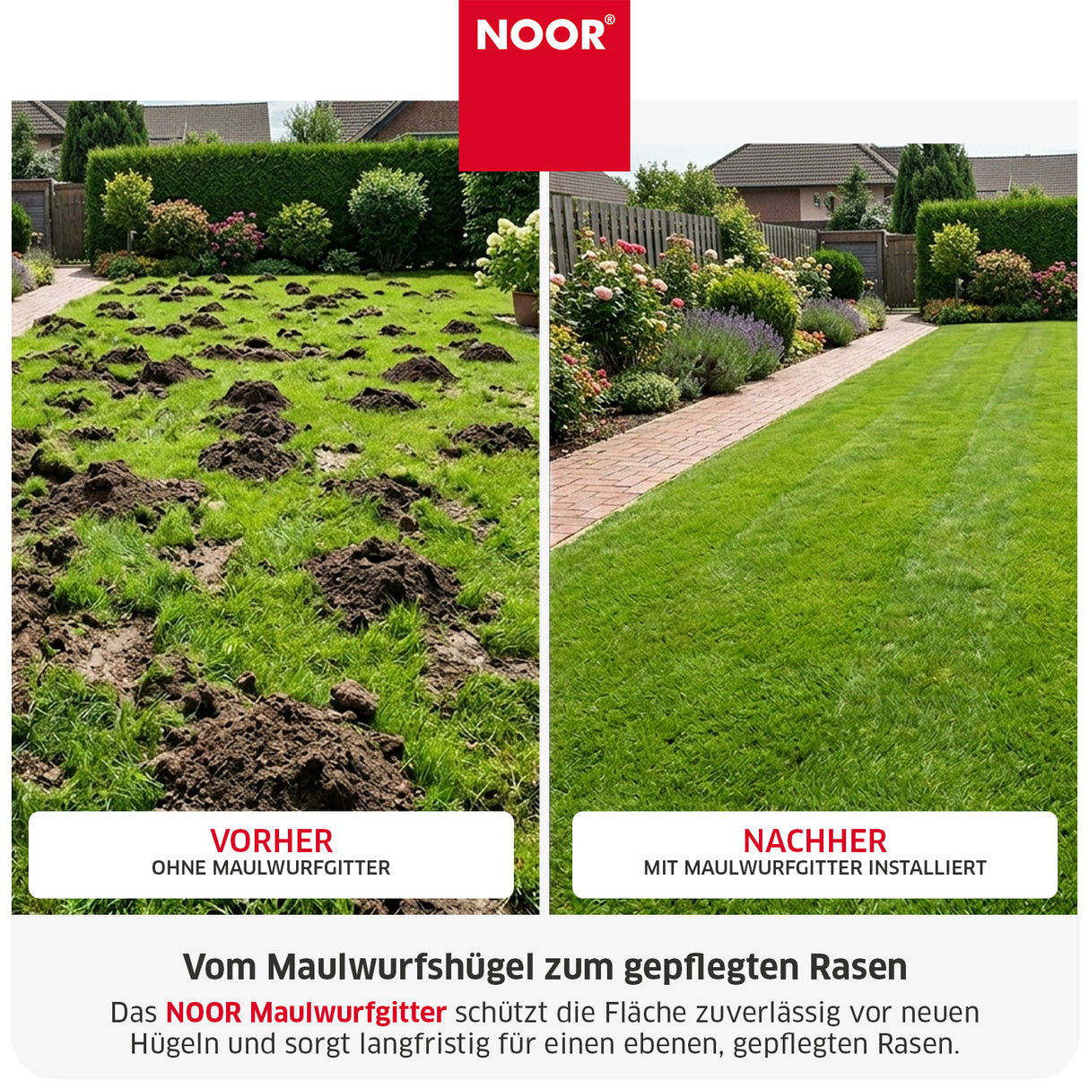 Maulwurfgitter Mesh Vorher Nachher NOOR