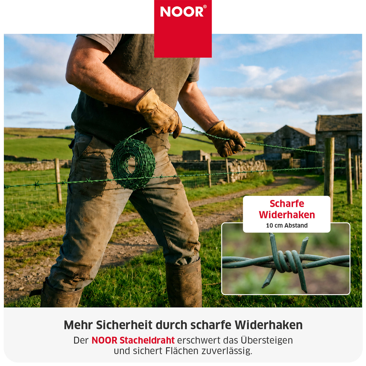 Stacheldraht 50 m